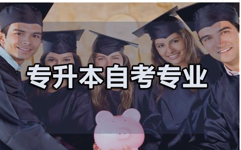 专本套读可以选择不同专业吗