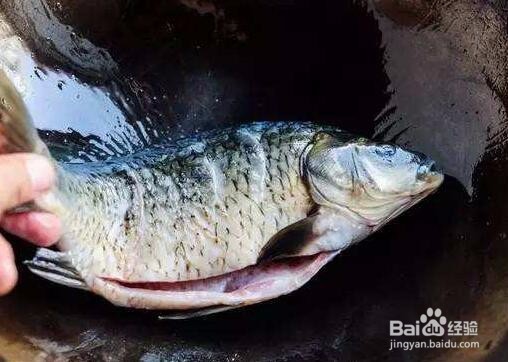 花生红豆鲫鱼汤--做给妻子、女友的好汤