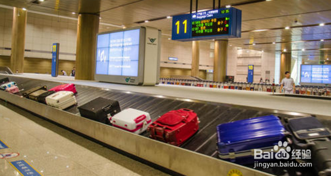 沈阳到青岛飞机怎么坐?