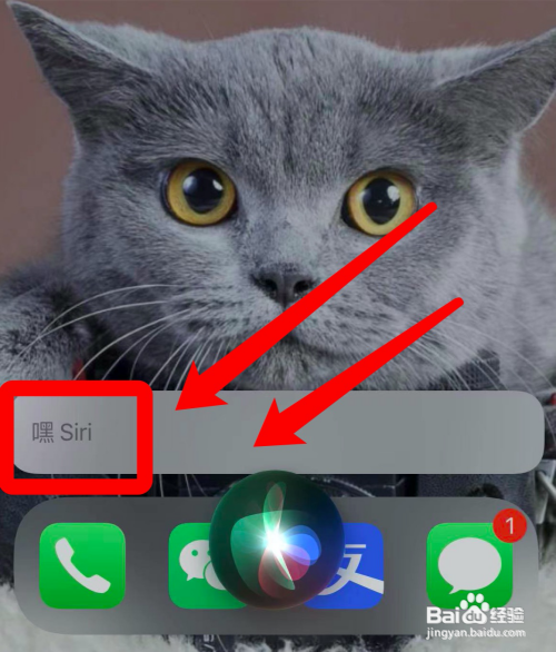 苹果怎么呼叫siri?