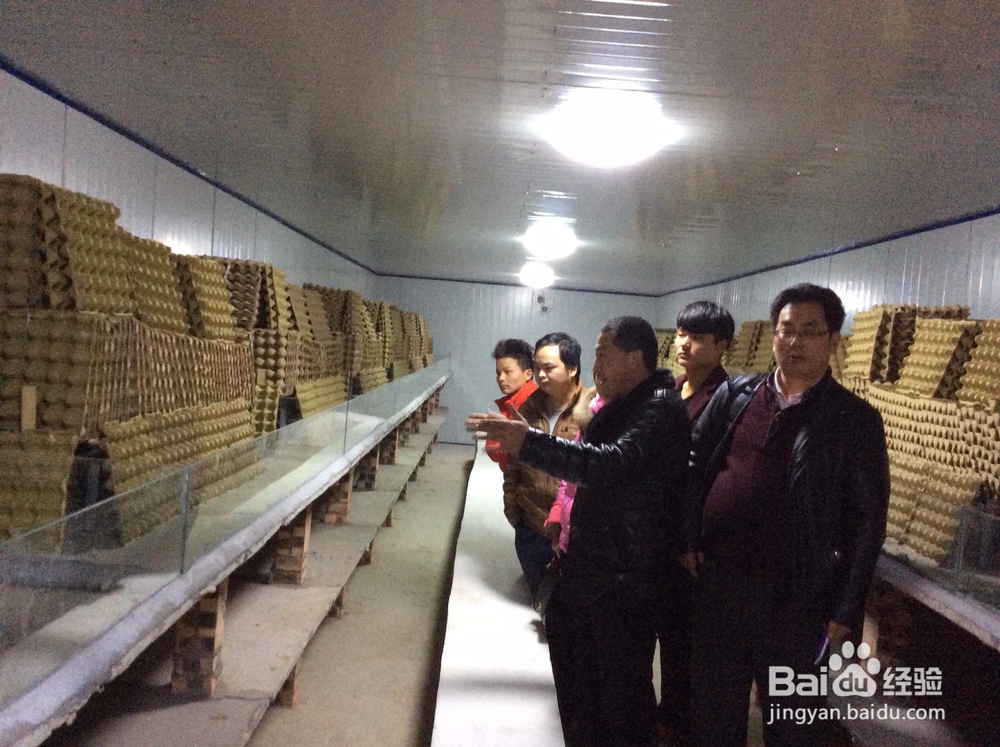 蝎子养殖 蝎子的价值和用处