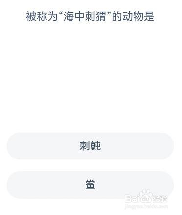 被称为海中刺猬的动物是神奇海洋7月23答案