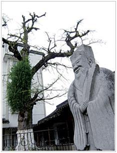 怎样安排西塘景点游