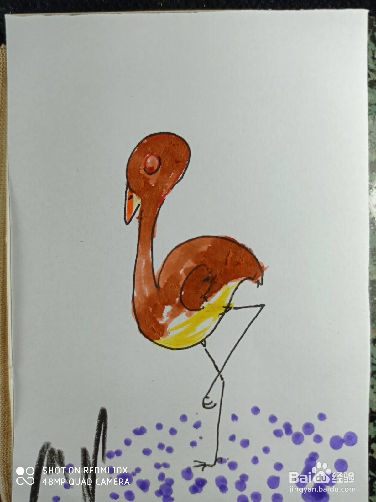 怎样画简笔画鸵鸟