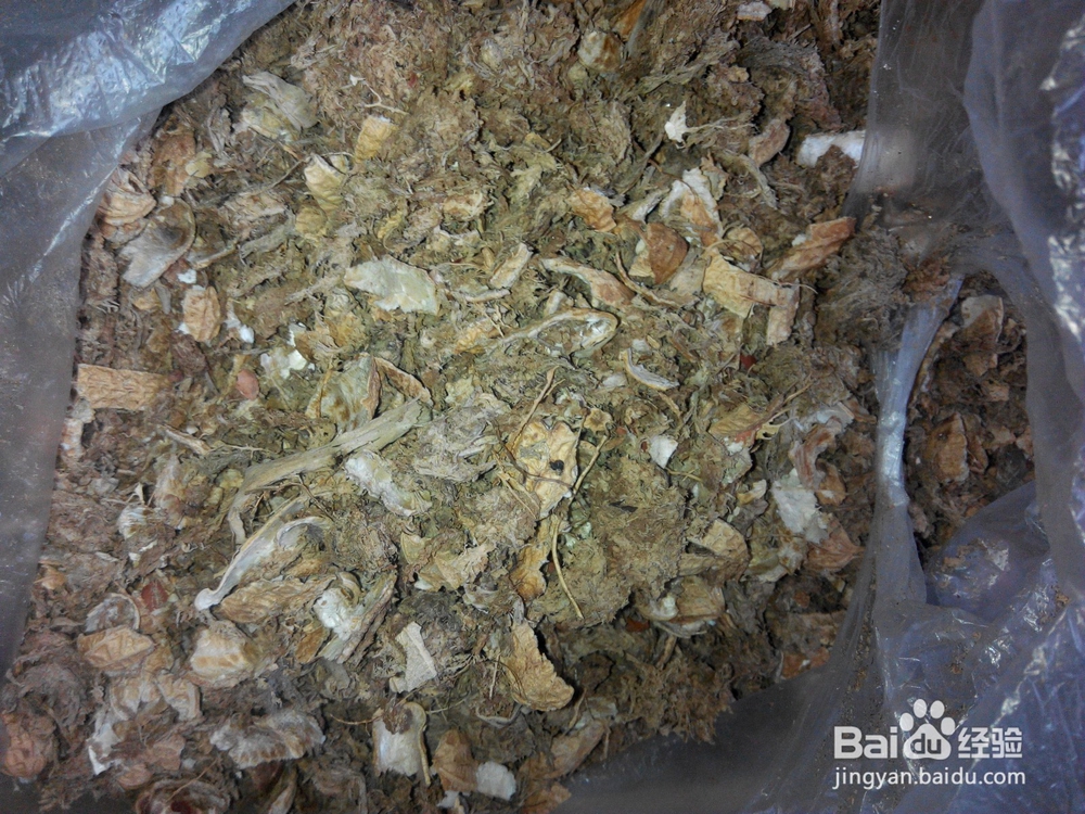 蝴蝶兰换土要提前准备