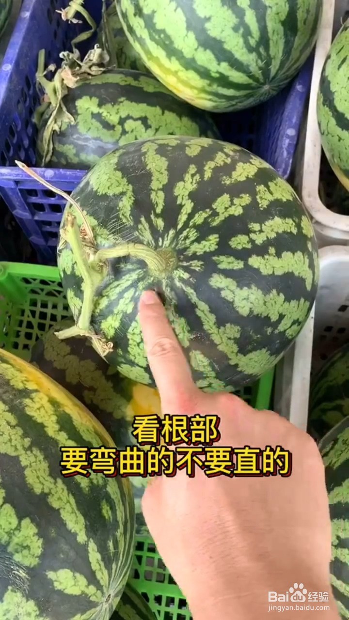 如何挑选西瓜？