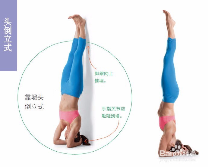 Yvette 6个花样倒立姿势