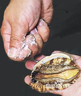 海鲜处理有妙招之七（鲍鱼）