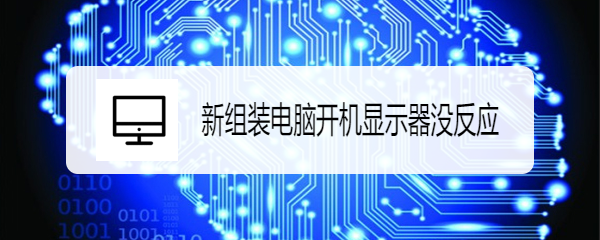 新组装电脑开机显示器没反应