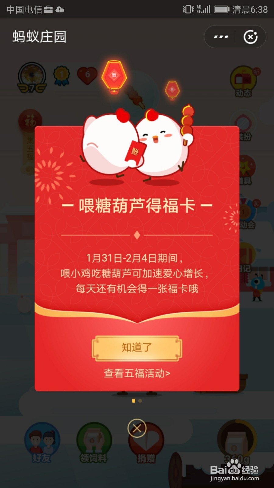 怎样喂小鸡吃糖葫芦集五福