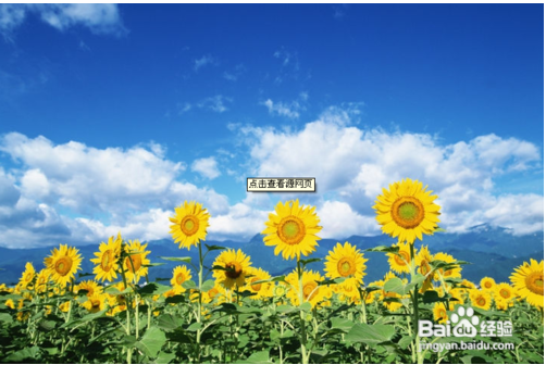 百度经验财富值的作用