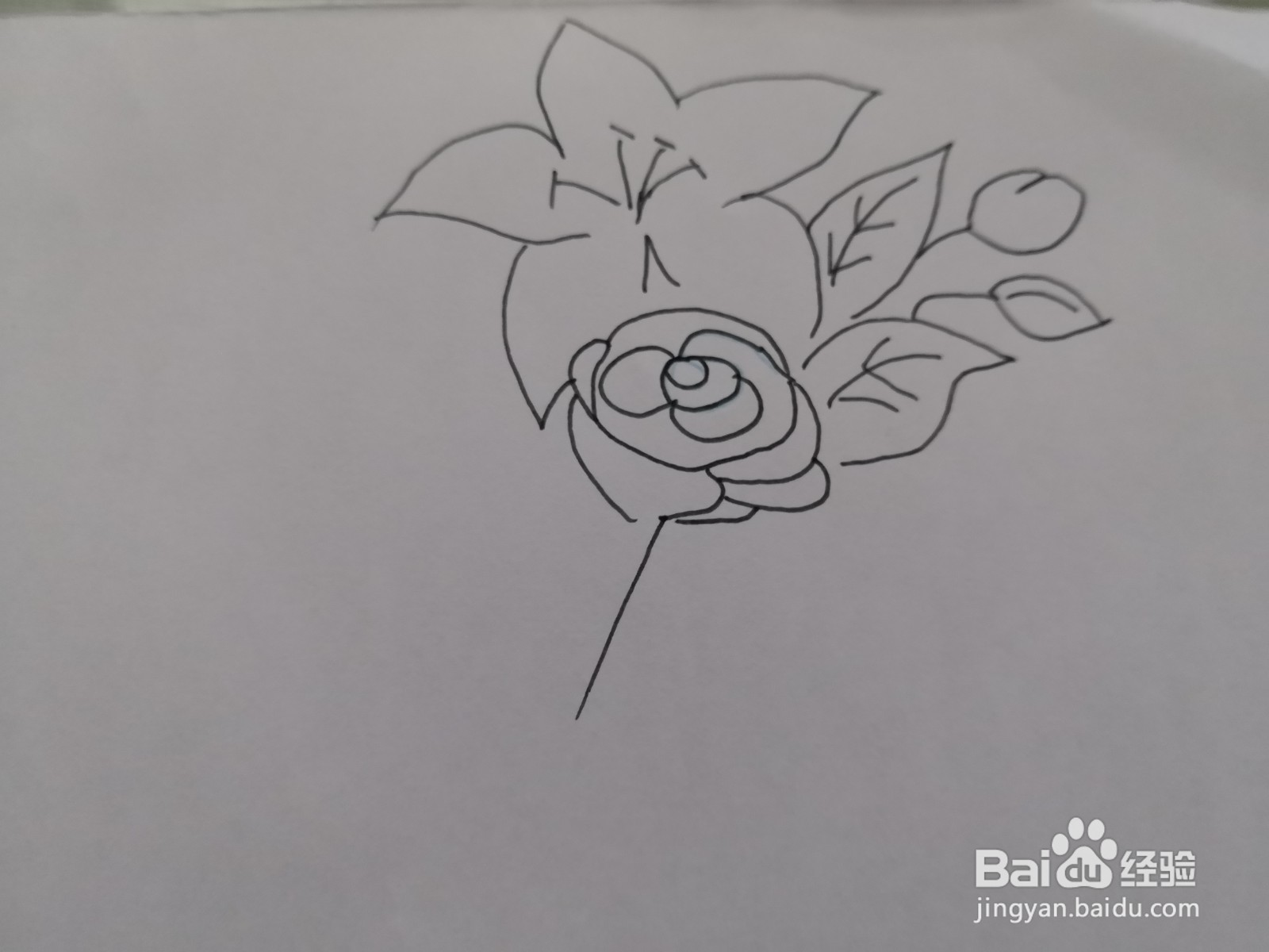 简笔画花朵图片