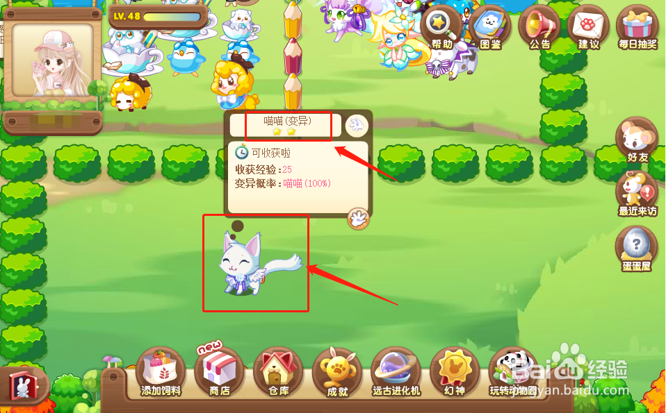 奥比岛中的动物喵喵怎么获得