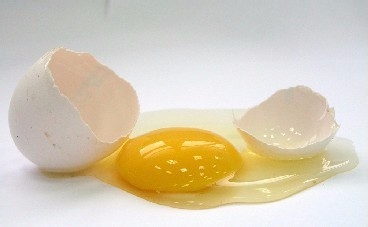 蛋清和蛋黄哪个更营养