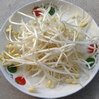 家菜常:黄豆芽炒牛筋