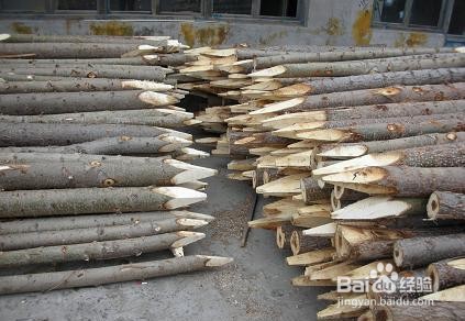 圆木桩怎么获得