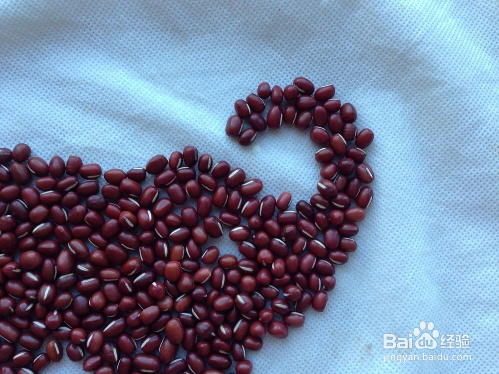 怎样画种子画--大象