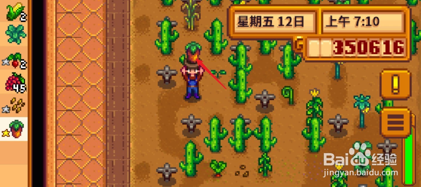 星露谷物语宝石甜莓怎么获得