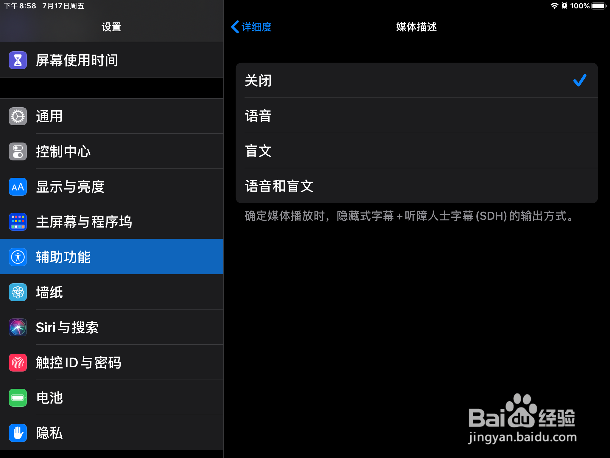 iPad怎么在旁白设置媒体描述