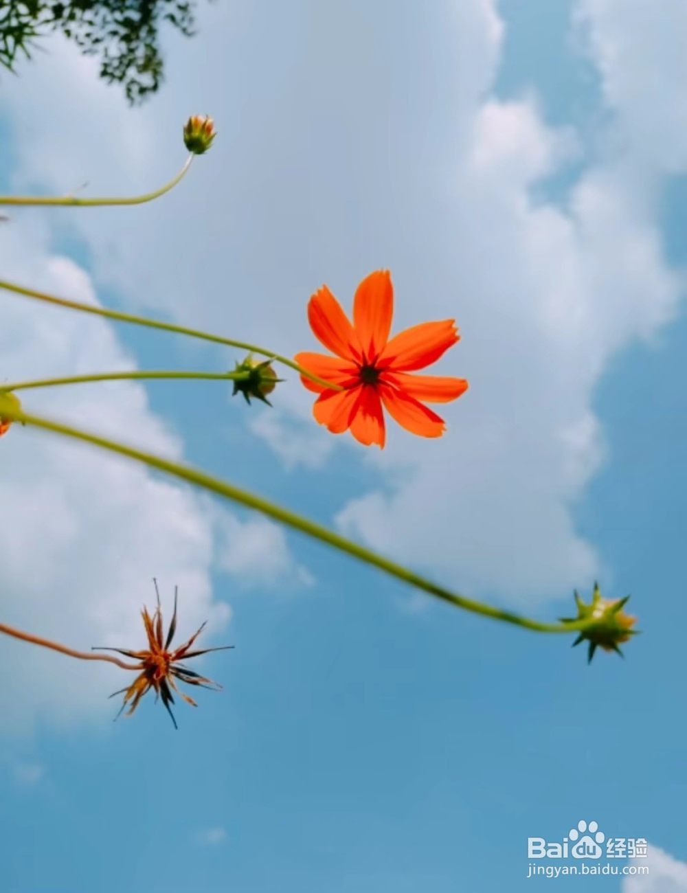 三星s10拍照技巧