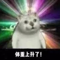 WPS如何选择关于沙雕猫的表情包