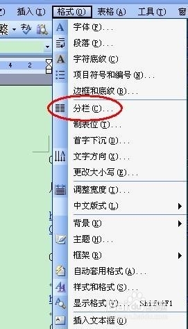 WPS Word中如和给字母和方框打对号