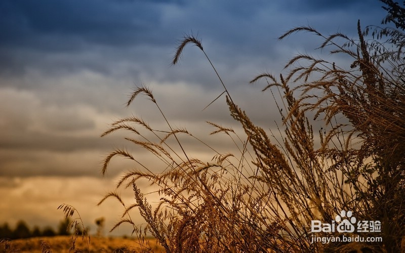 超星大学生军事理论考试答案