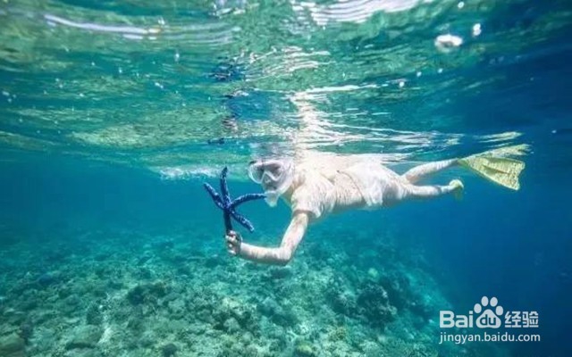 十一免签的高性价比海岛——帕劳旅游攻略