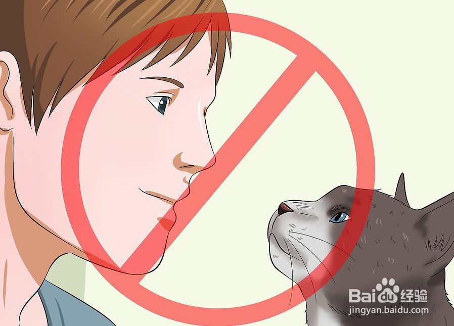 如何让你的猫爱你