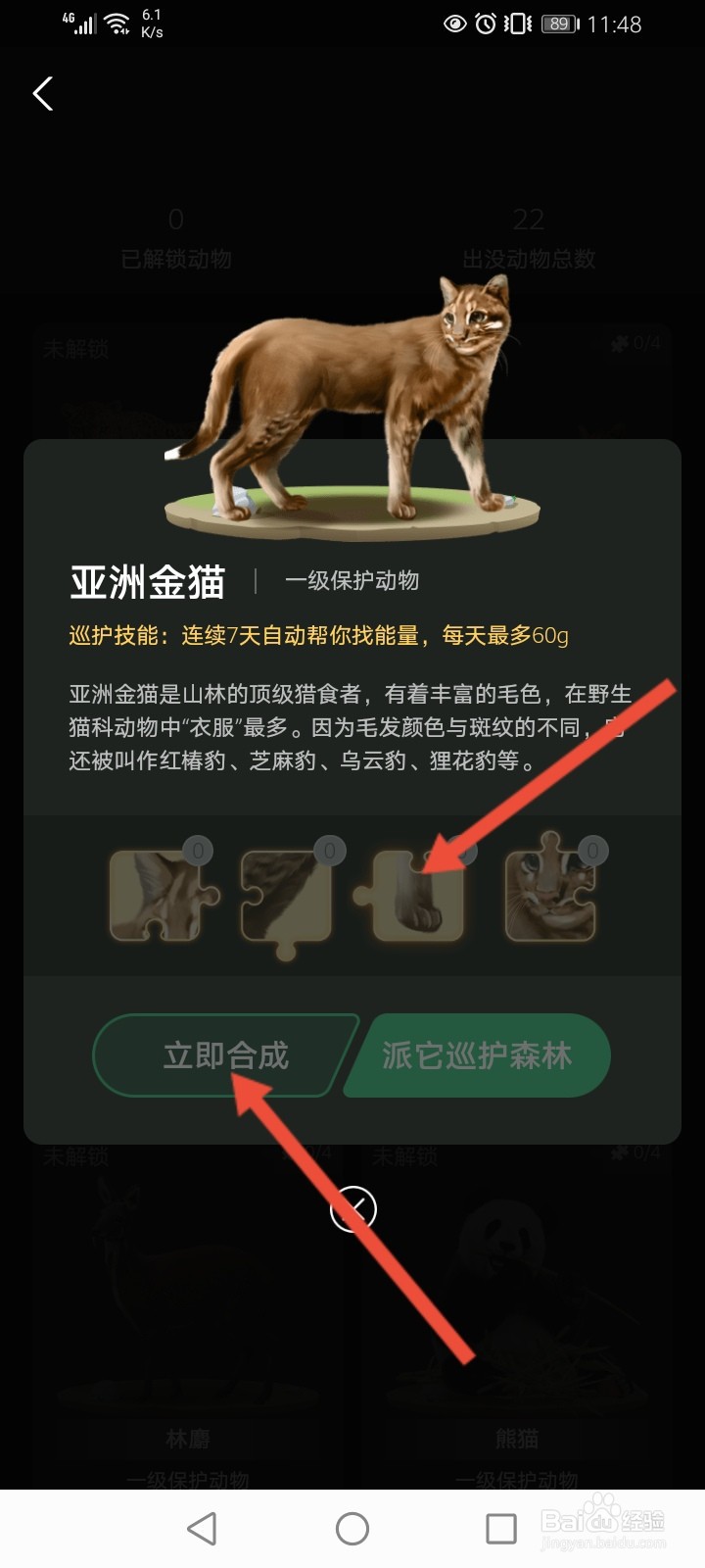 蚂蚁森林亚洲金猫怎么获得