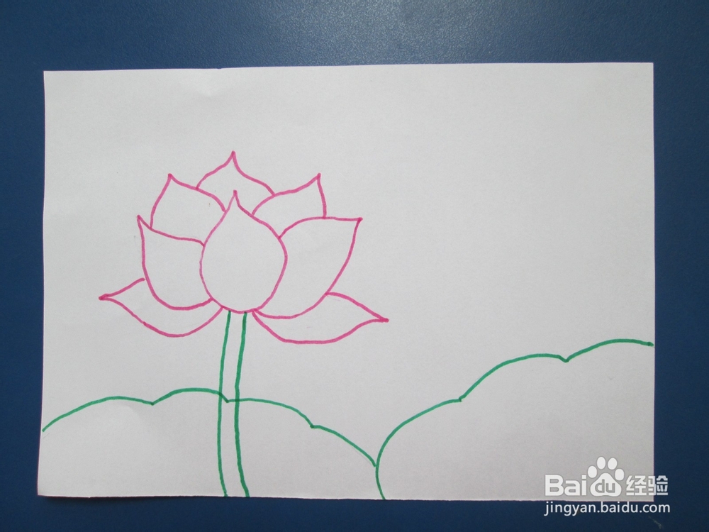 我们来学油画棒：[6]荷花