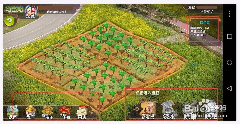app乐园一乙农场免费种黑芝麻大豆种植水稻糯米