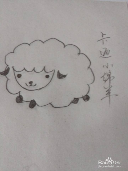 4 画出面部五官,注意羊嘴的画法哦,眼睛画得小点会显得可爱一些.