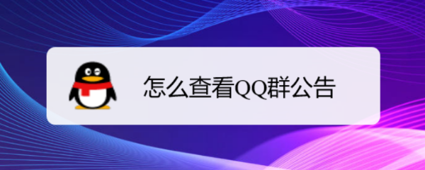 怎么查看QQ群公告