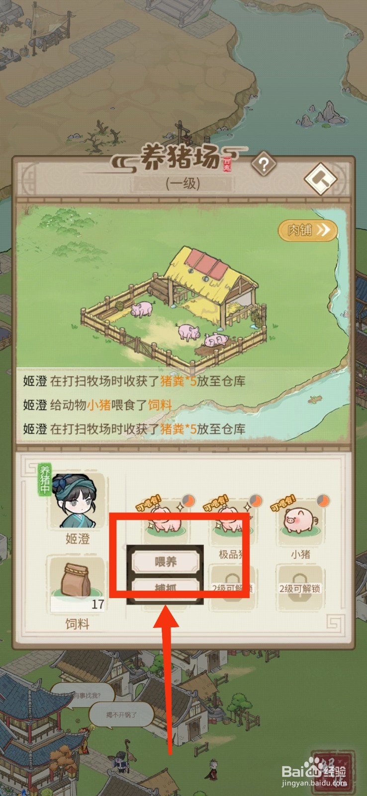 解忧小村落如何喂养小猪 
