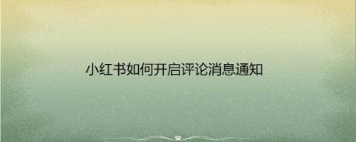 小红书如何开启评论消息通知