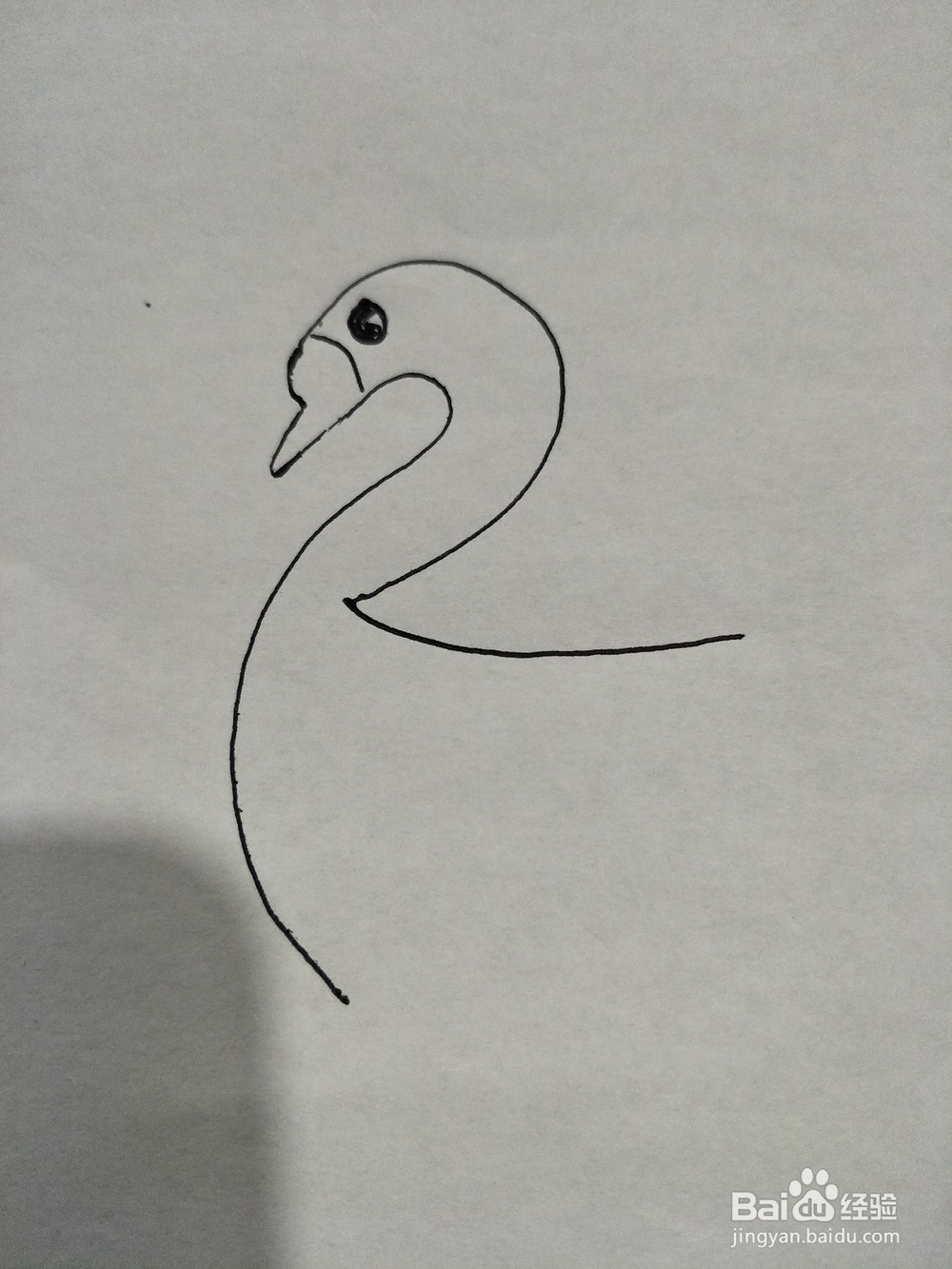 简笔画——快速画鹅简单画一只大白鹅