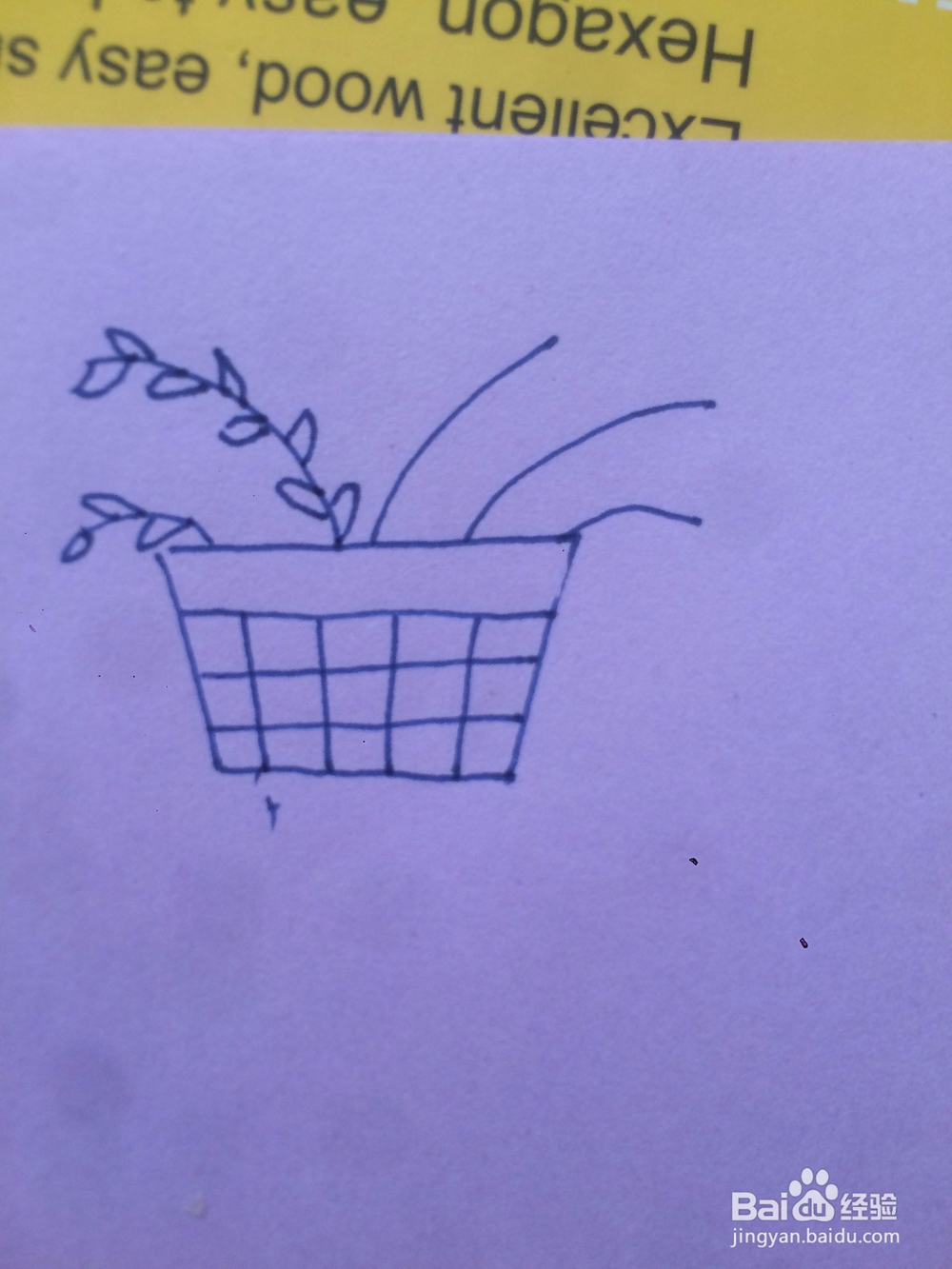 怎么教宝宝简单的画一盆植物