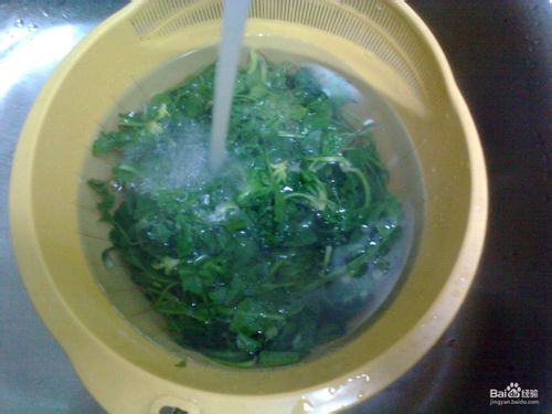 荠菜煎饺