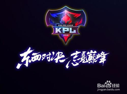 王者荣耀fmvp皮肤