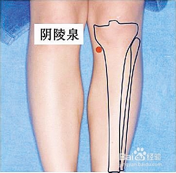 身体经常困乏，湿气重怎么办？