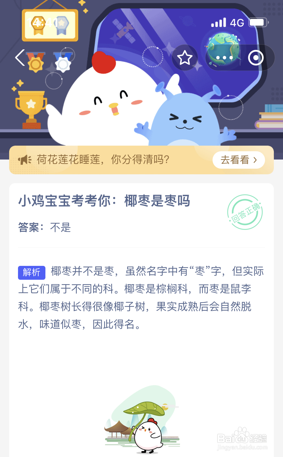 蚂蚁庄园:椰枣是枣吗?