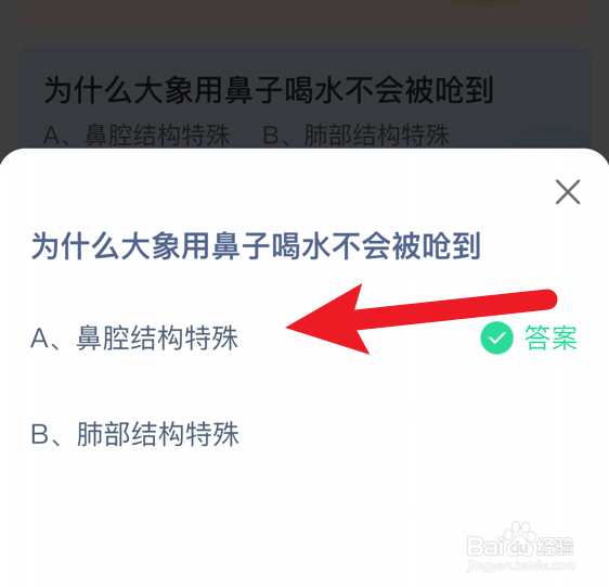 为什么大象用鼻子喝水不会被呛到蚂蚁庄园