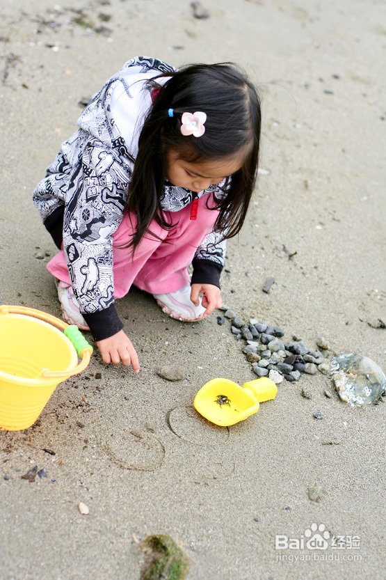 拾海的孩子&亲亲小动物(组图)