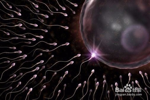 怎么正确区分少精症与弱精症
