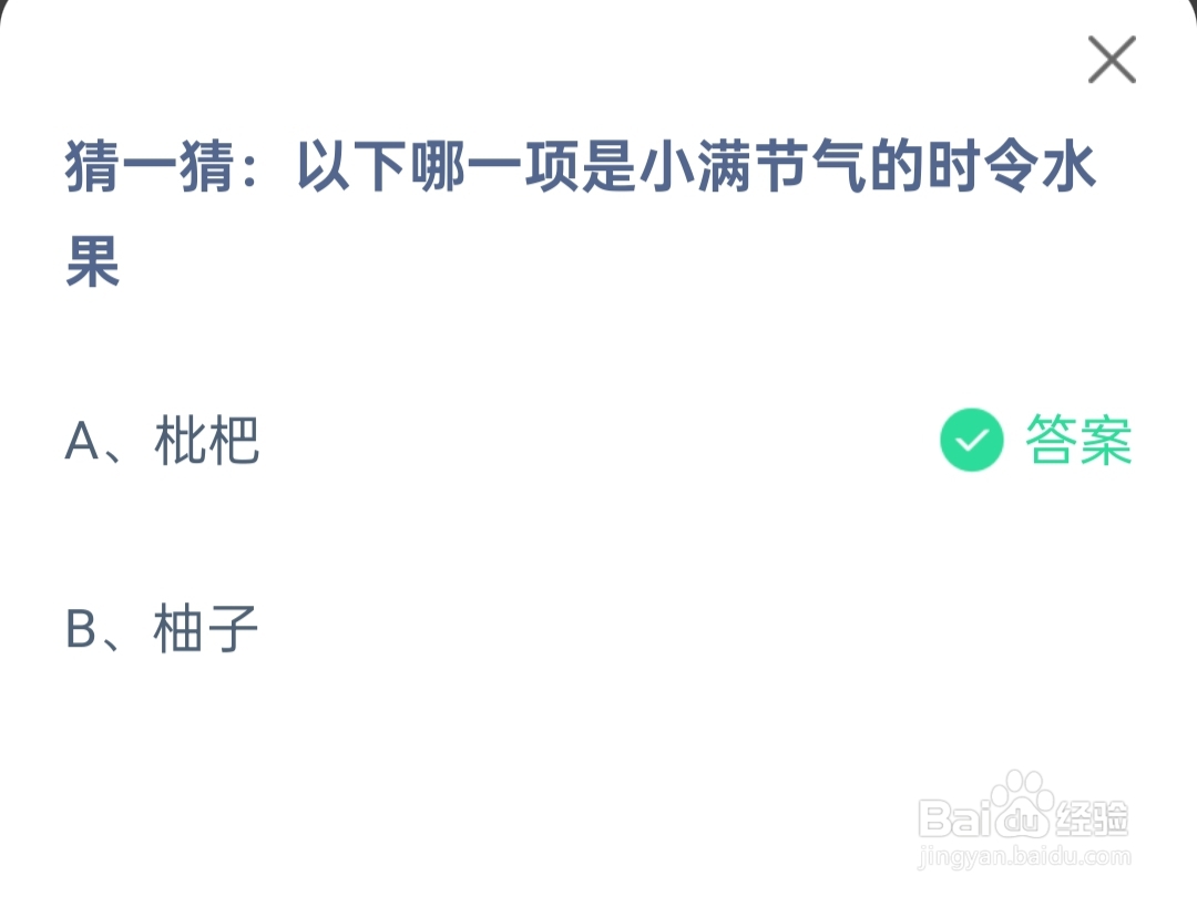 蚂蚁庄园2024.5.20哪一项是小满节气的时令水果