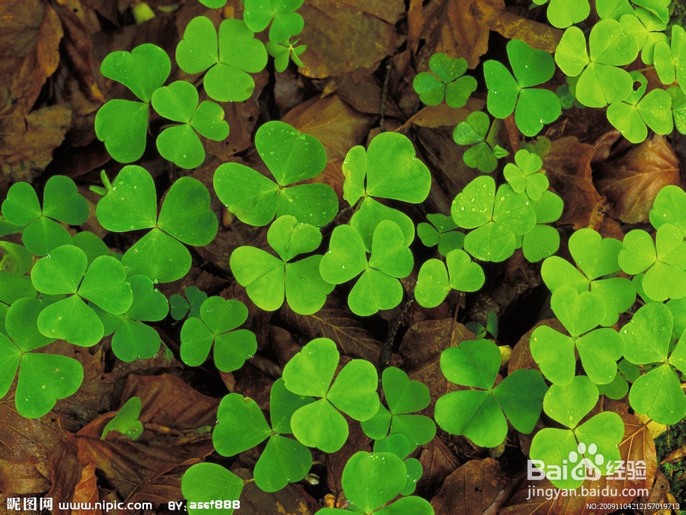 数百个你不知道的小知识：[2]