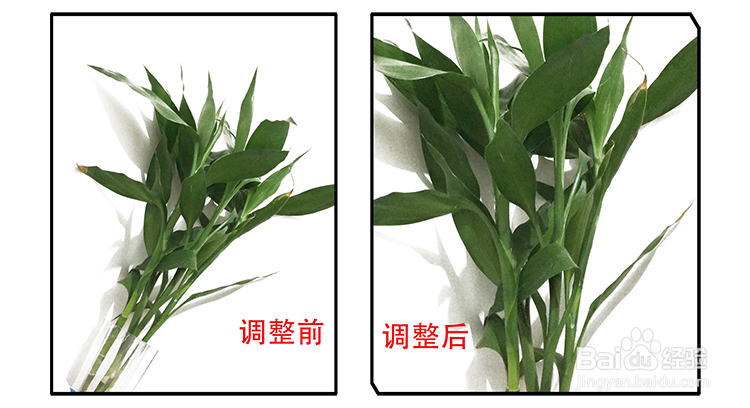 ps中怎样把倾斜的照片调正