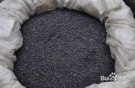 黑芝麻能发白反黑