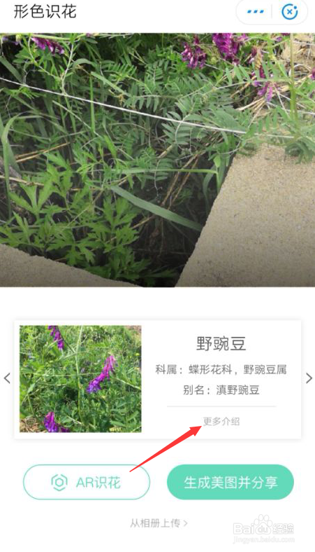 手机支付宝如何识别花朵AR识花怎么用